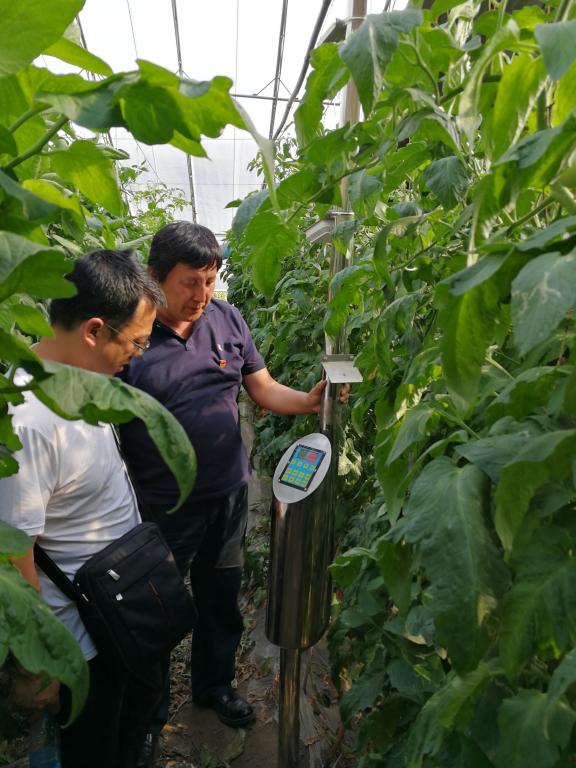 深入田间地头提供技术支持